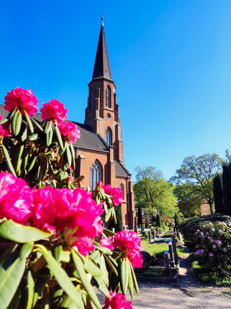 Kirche in Oberneuland mit Rhododendron